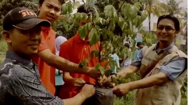 CSR penanaman Pohon di lingkungan Pabrik